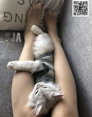 灯草社区