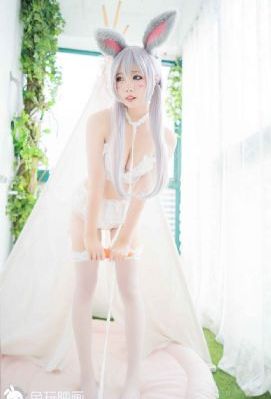 妈妈的职业3