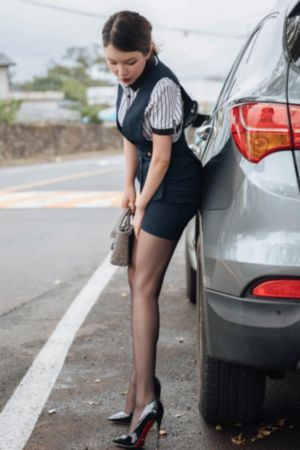 骡子和金子