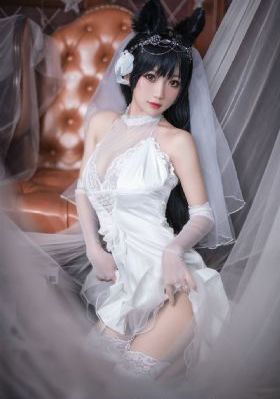 成全视频在线观看完整版动画