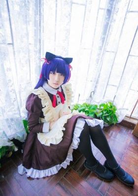 金莲花之谜在线观看免费