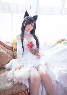 天幕红尘电视剧40集完整版